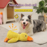 Dog Calming Duck