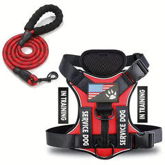 Dog Leash & Harness