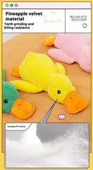 Dog Calming Duck