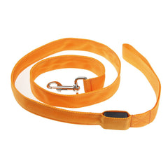 LED Luminous Dog Leash for Night Walks