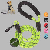 Luminous Reflective Dog Leash