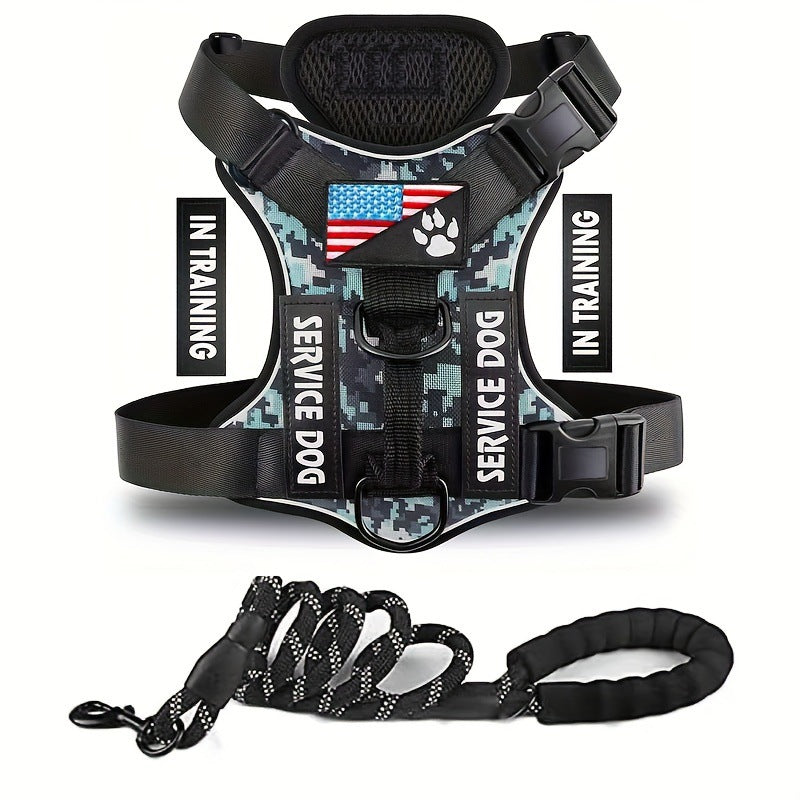 Dog Leash & Harness