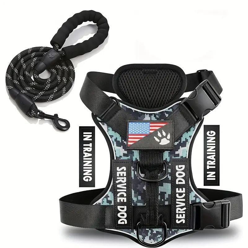 Dog Leash & Harness