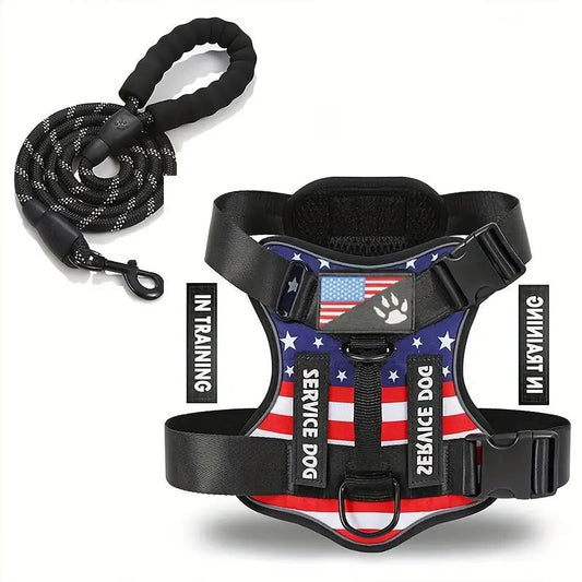 Dog Leash & Harness