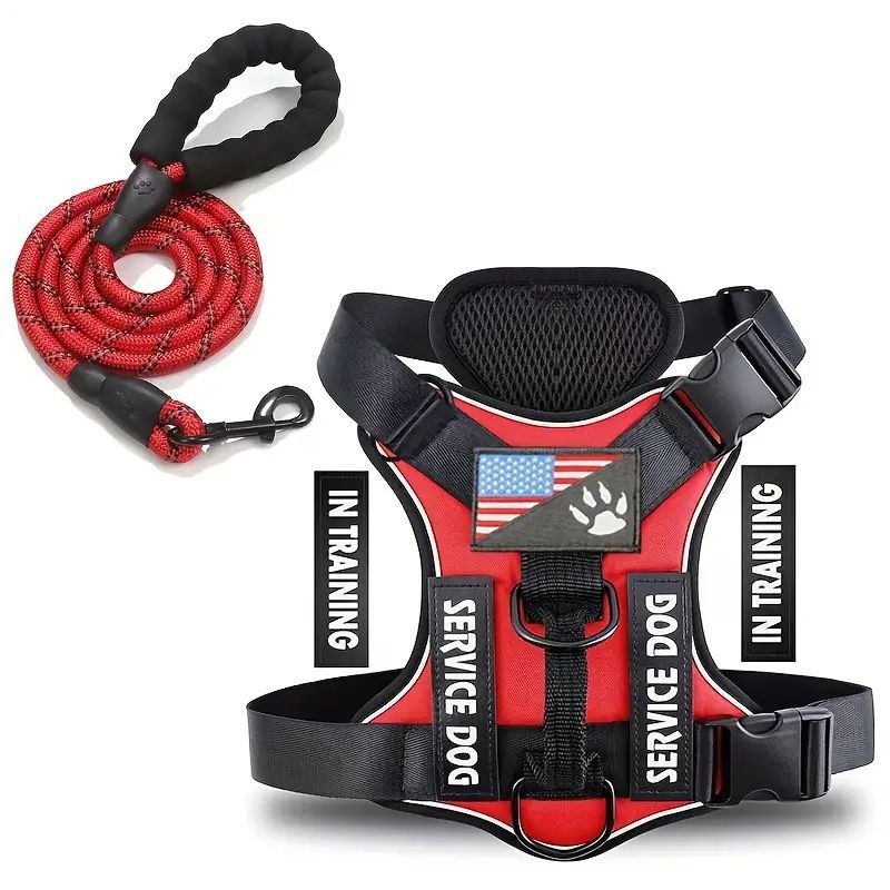 Dog Leash & Harness
