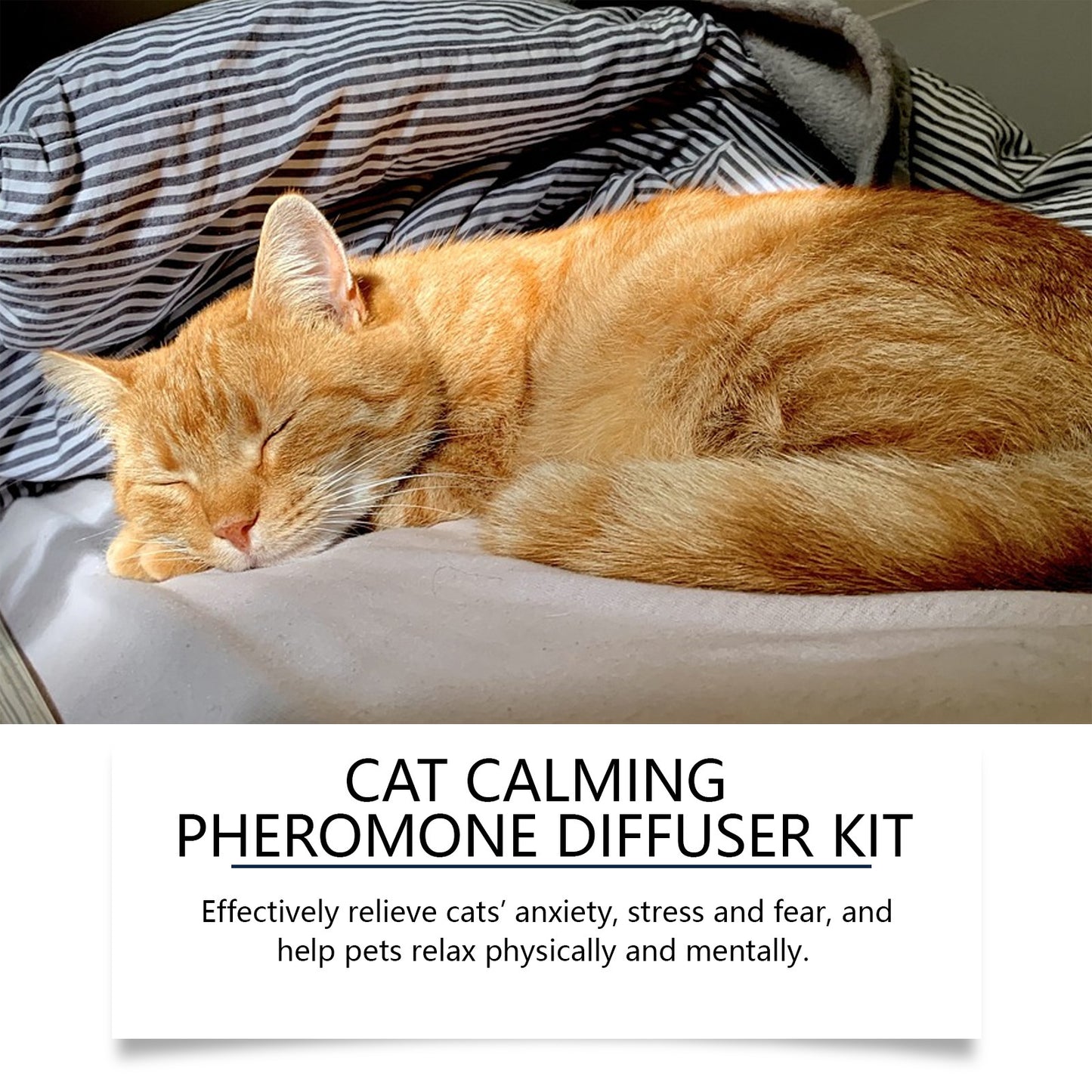 Pet Mood Diffuser