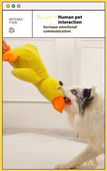 Dog Calming Duck