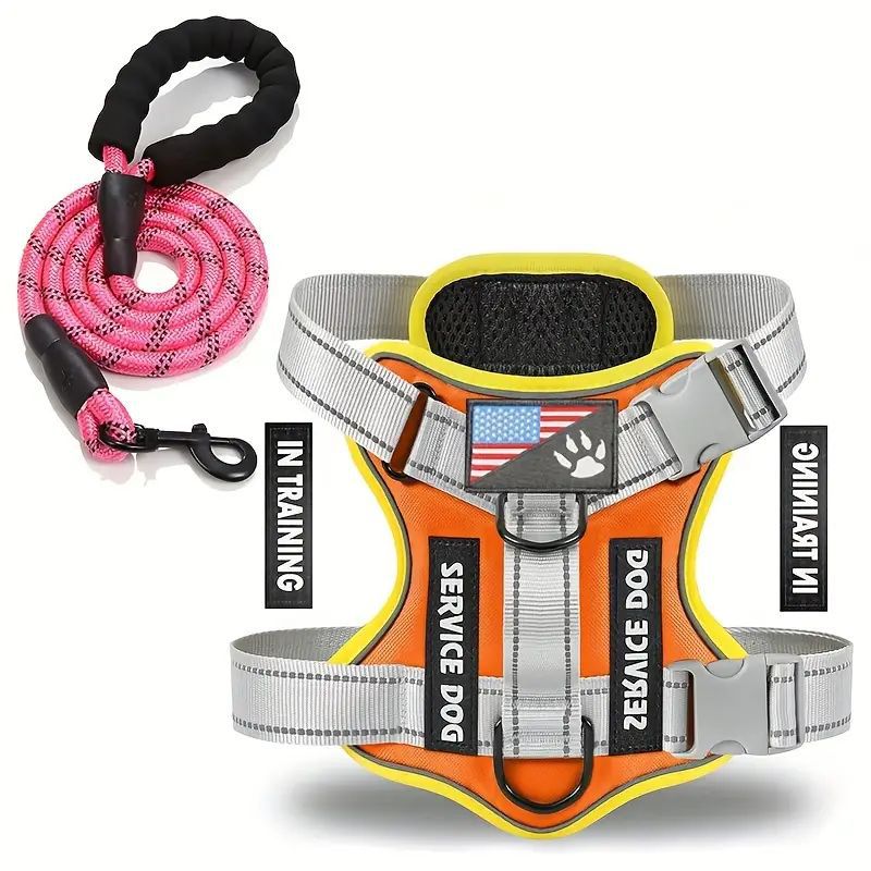 Dog Leash & Harness