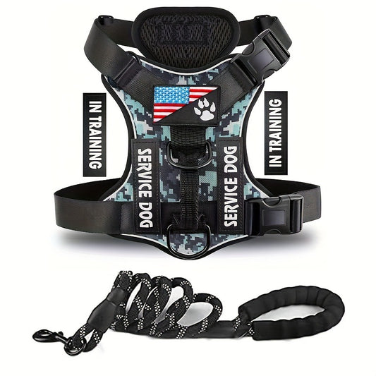 Dog Leash & Harness