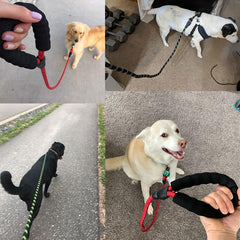 Luminous Reflective Dog Leash